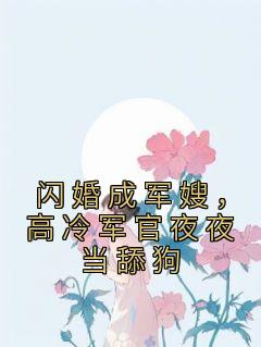 闪婚成军嫂，高冷军官夜夜当舔狗